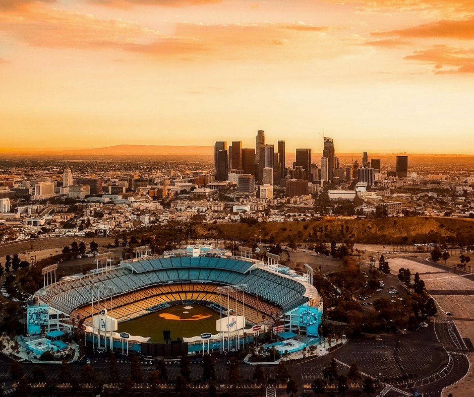 Baseball To the Max – Steve Riach